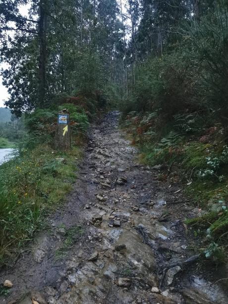 Camino de Santiago, Soto de Luiña-Cavadedo (XXI)