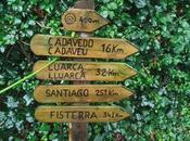 Camino Santiago, Soto Luiña-Cavadedo (XXI)