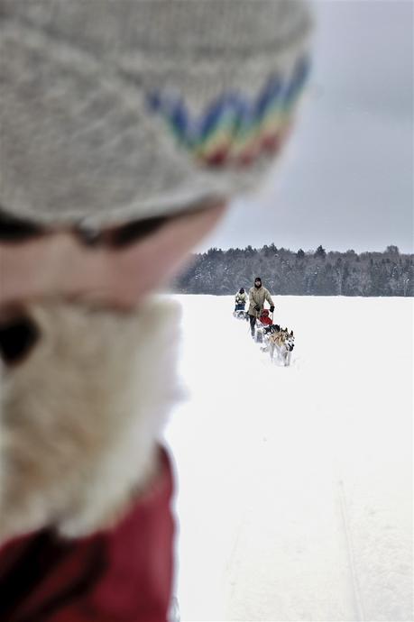 ¿Dónde pasar el Año Nuevo en 2023? perros de trineo en alaska