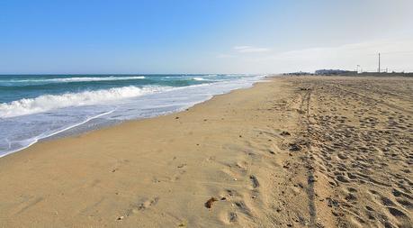 Las 6 cosas esenciales que hacer Sète Visita las playas de Sète