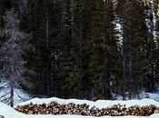 Dolomitas, postal vértigo