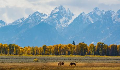 Wyoming