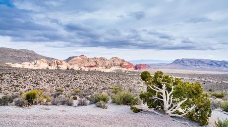 ¿Qué estados de EE. UU. son los más secos? Nevada