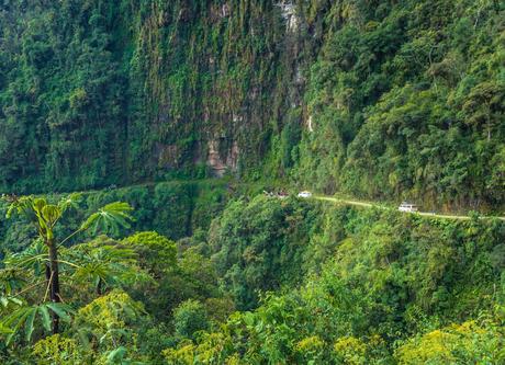 Camino Yungas Norte