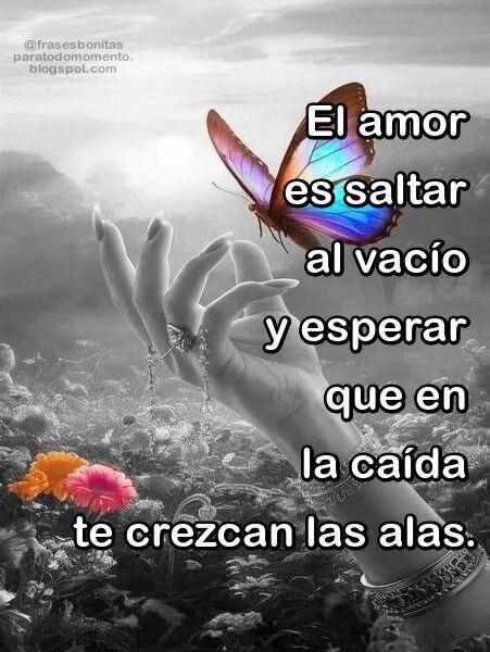 El amor es saltar al vacío y esperar que en la caída te crezcan las alas.