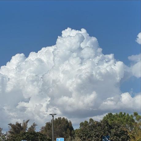 🪻Fin de Semana entre sol  y paraguas🪻