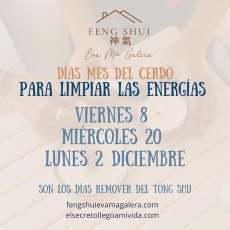 Días limpieza de energías mes Noviembre 🪔