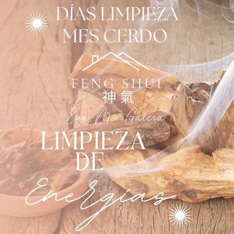 Días limpieza de energías mes Noviembre 🪔