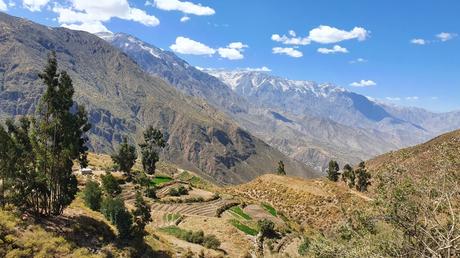 Inolvidable ruta hasta la decepcionante Arequipa