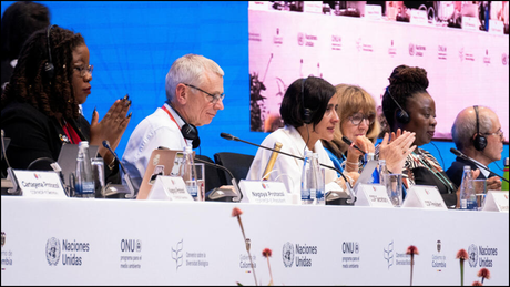 La Cumbre de Biodiversidad en Colombia acaba con resultados mediocres