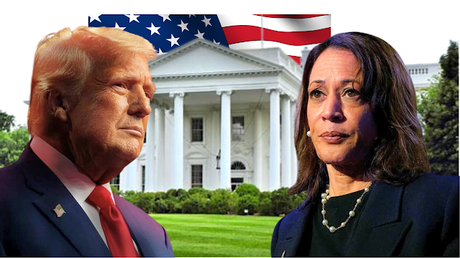 Donald Trump va arriba con 95 delegados ganados; Kamala Harris, tiene 35.