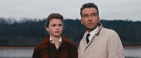 Río Salvaje (Wild River, 1960)