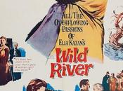 Salvaje (Wild River, 1960)