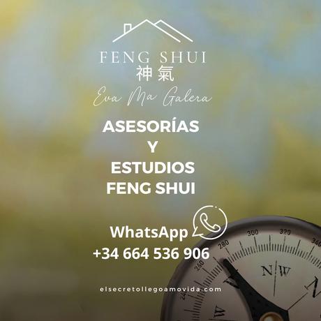 Hoy 7 de Noviembre comienza el mes Cerdo 🐷