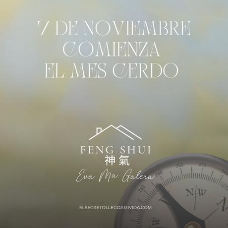 Hoy 7 de Noviembre comienza el mes Cerdo 🐷