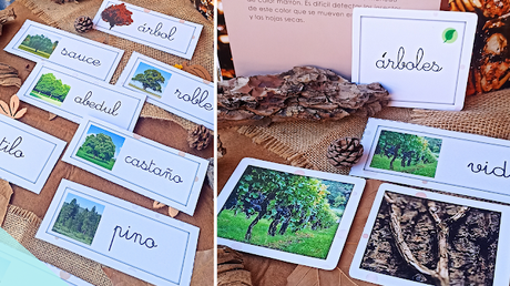 Recursos: Lecto escritura en Educación Infantil | la Caja de las palabras de Otoño y actividades