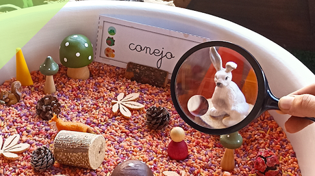 Recursos: Lecto escritura en Educación Infantil | la Caja de las palabras de Otoño y actividades