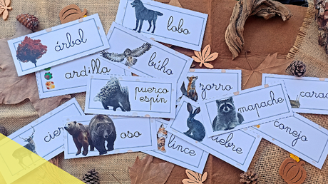 Recursos: Lecto escritura en Educación Infantil | la Caja de las palabras de Otoño y actividades