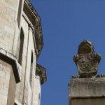 El león de la Catedral