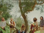 Sheepdogs working (2024)