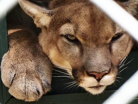 15 atracciones turísticas y actividades mejor valoradas en Scottsdale, Arizona