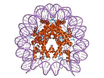 Estas proteínas han estado manejando secretamente nuestras células
