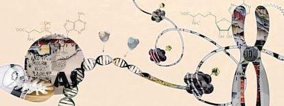 Estas proteínas han estado manejando secretamente nuestras células