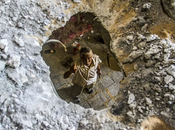 Cómo negociar quien mata