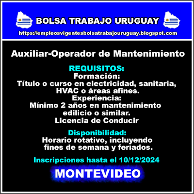 Auxiliar-Operador de Mantenimiento