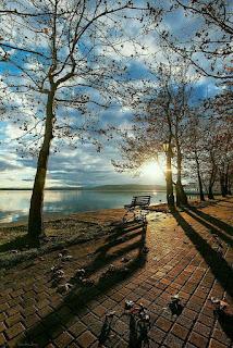 6.013 - TIEMBLAN LOS RAYOS... 6.013 - TIEMBLAN LOS RAYOS...