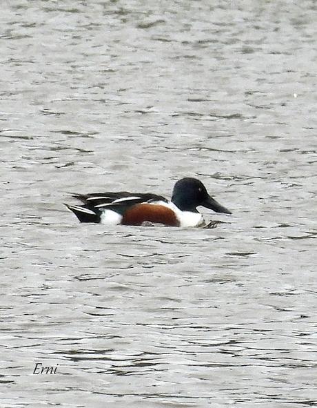 PREPARÁNDOSE PARA INVERNAR