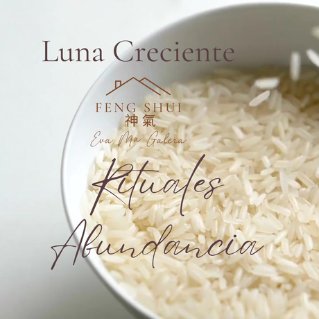 Luna Creciente 🌒 Rituales de abundancia