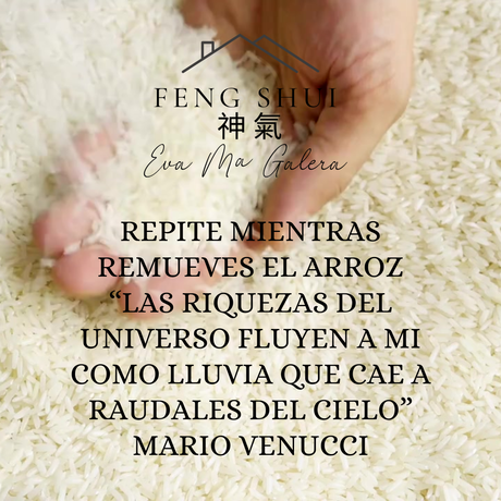 Luna Creciente 🌒 Rituales de abundancia