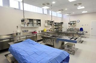 De las causas de la derrota demócrata