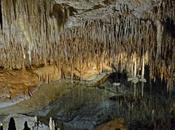 cuevas Drach Mallorca: Historia, visitas Porto Cristo