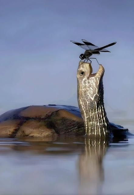 Las cinco horas en blanco de Mazón, lapso en que la DANA descargó en Valencia.
