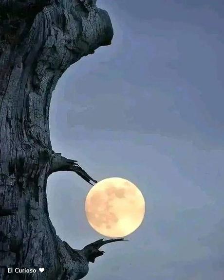 Las cinco horas en blanco de Mazón, lapso en que la DANA descargó en Valencia.