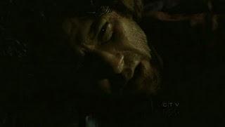 7 imágenes, 7 series (XVI)