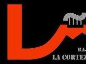 Descargar Bajo corteza.