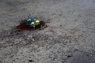 Inspiración: EcoGuerilla Arte en las ciudades.