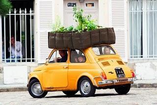 Inspiración: EcoGuerilla Arte en las ciudades.