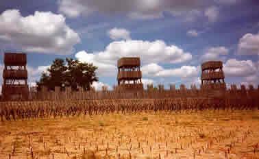 Biografía de Julio César