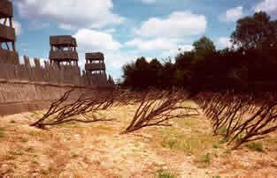 Biografía de Julio César