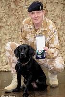 Un perro condecorado