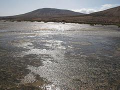 Playa de Sotavento