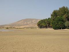 Playa de Sotavento