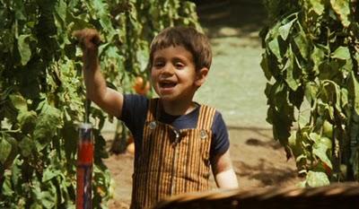 Concurso: La Imagen Pertenece a ...IMAGEN 1 Y 2 (Abril 2010)