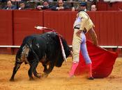 'arte' toreo