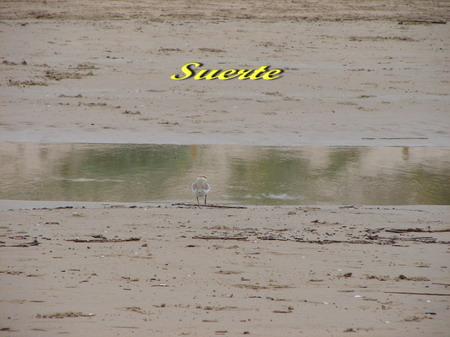 A IDENTIFICAR SE HA DICHO