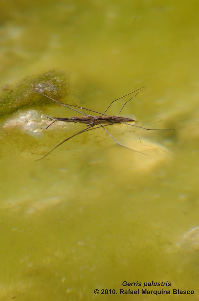 Escapadita a Beceite